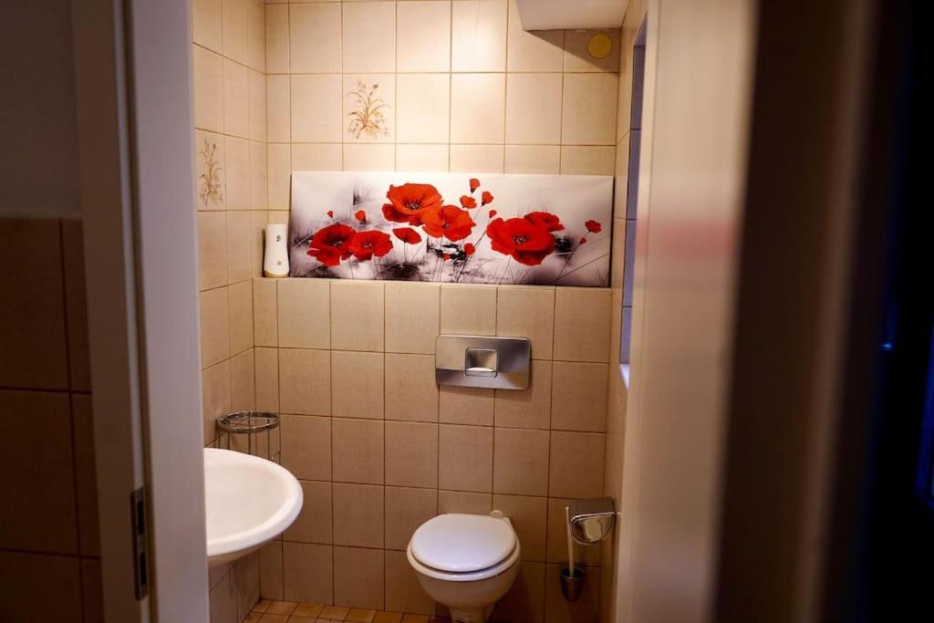 Helle Kellerwohnung Im Gruenen Mit Sauna Köln Exterior foto